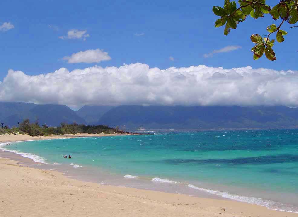 maui beaches drawing